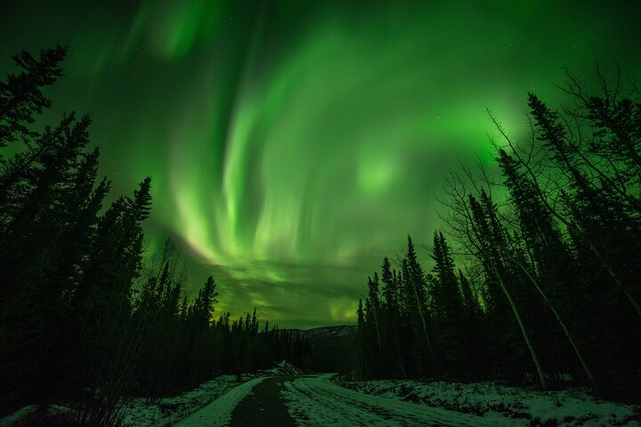 Fall Aurora Mushing Cart Ride Bucket List Adventure - Photo 1 of 10